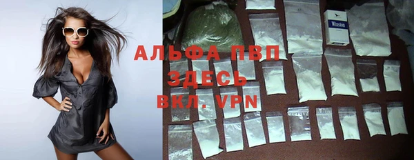 индика Бородино