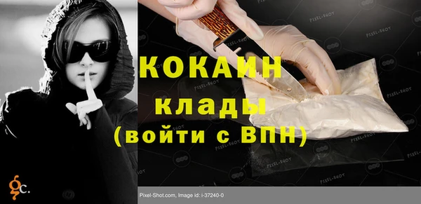 индика Бородино