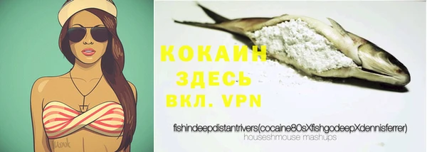 spice Куйбышев