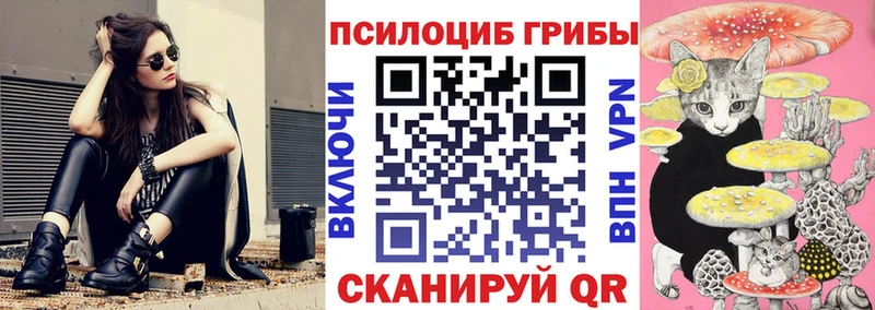 Галлюциногенные грибы Cubensis  Волгодонск 