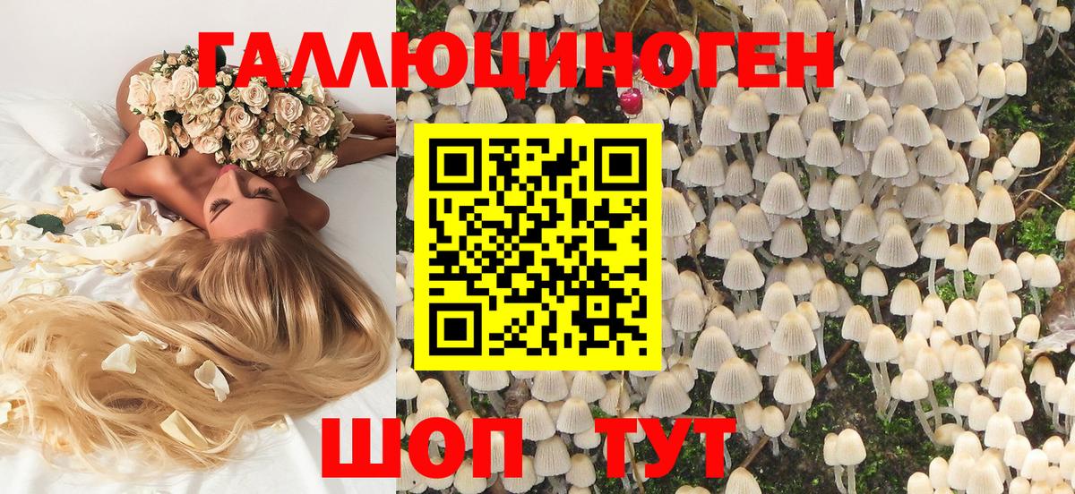 Псилоцибиновые грибы ЛСД  Волгодонск  Галлюциногенные грибы мицелий 